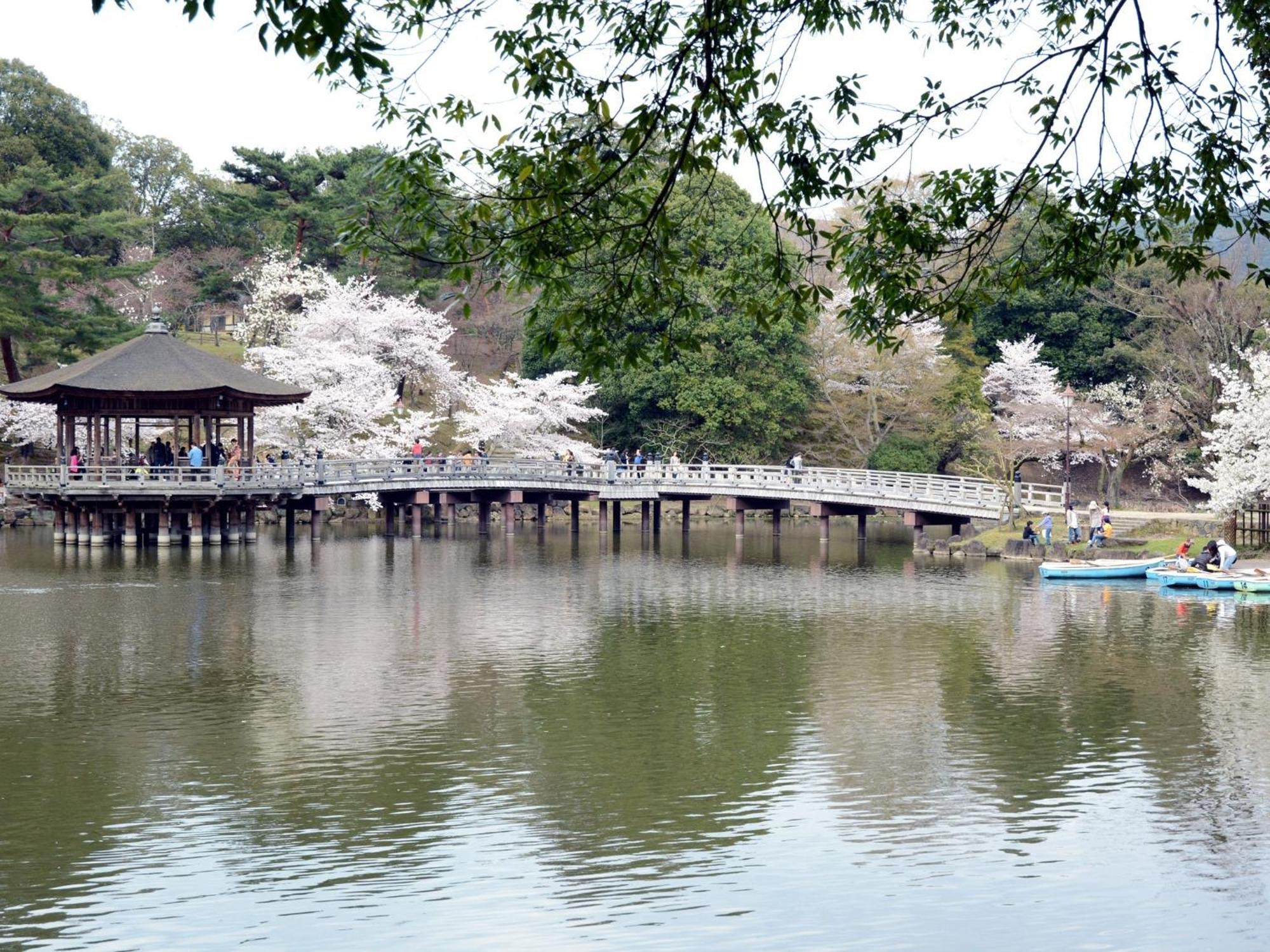 Nara - Hotel / Vacation Stay 47950 Eksteriør bilde