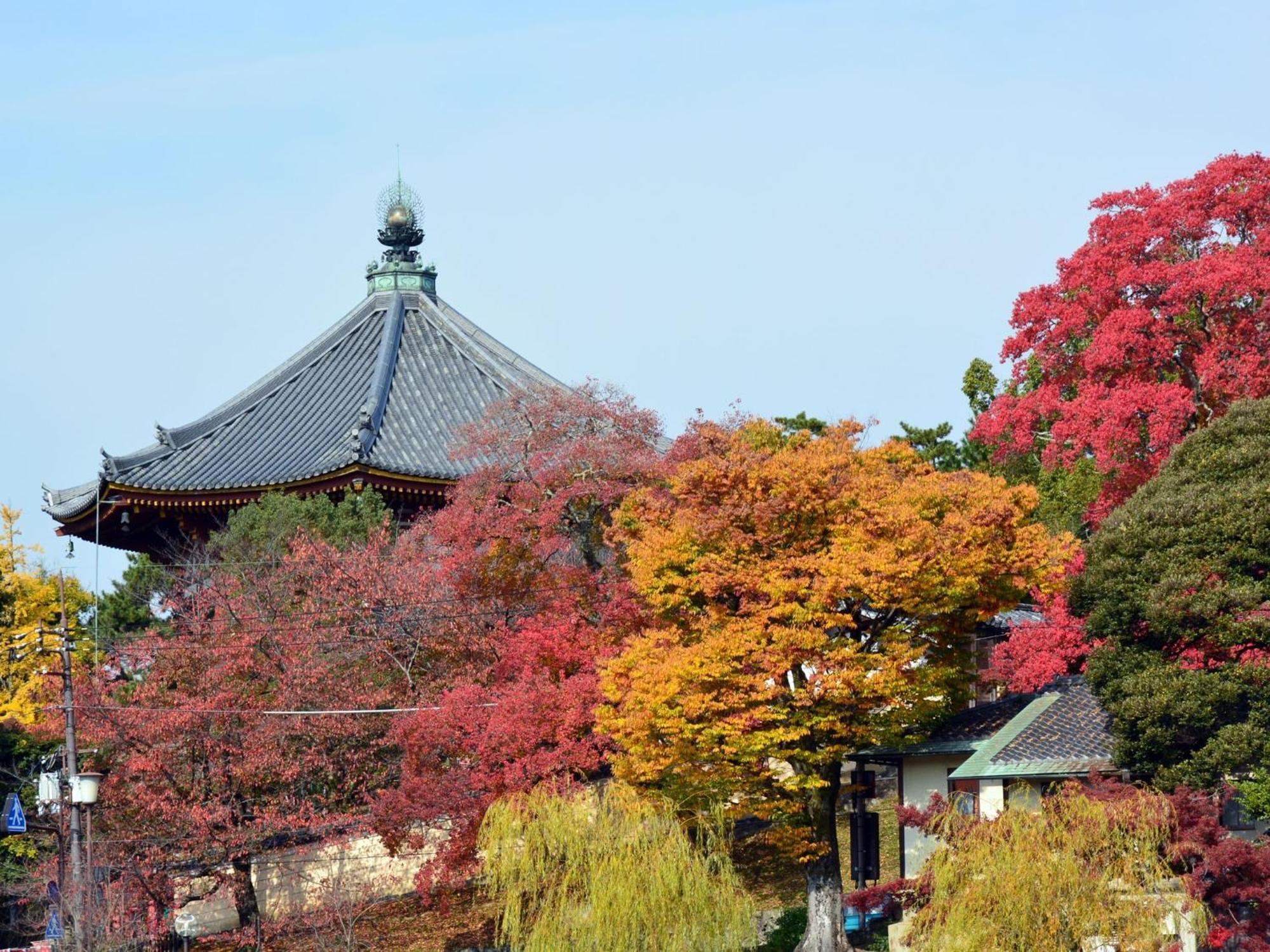 Nara - Hotel / Vacation Stay 47950 Eksteriør bilde